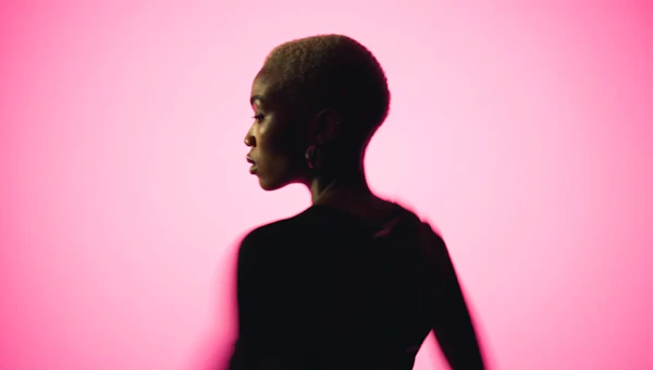 Profile Silhouette Portrait