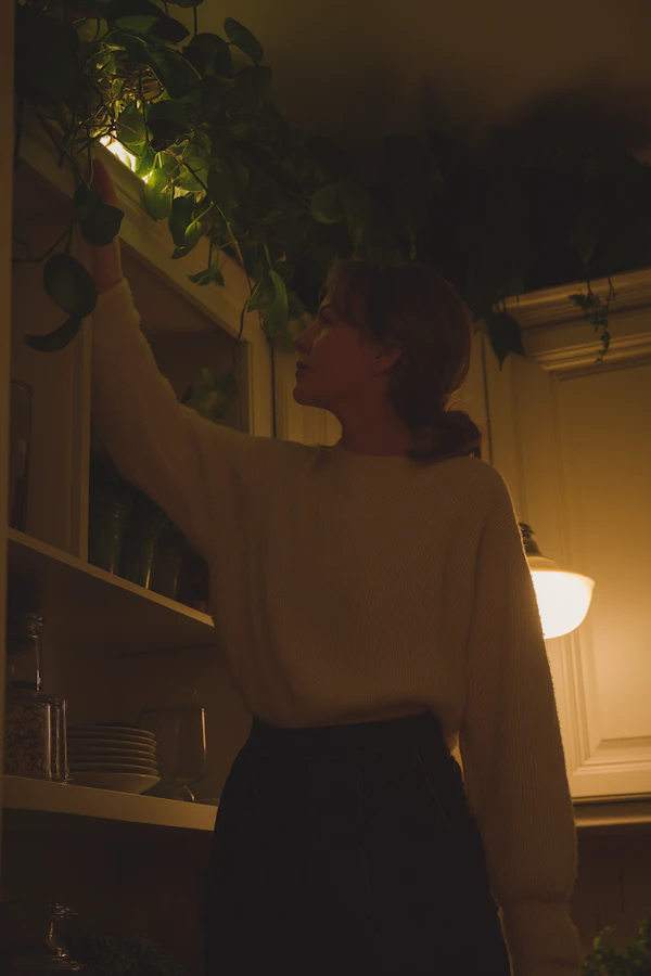 Cozy Kitchen Scene