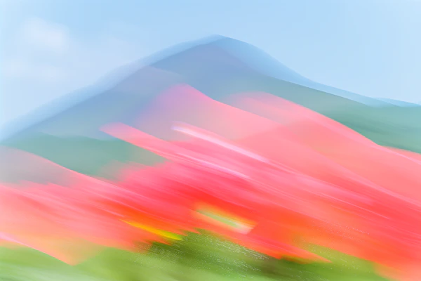 Abstract Floral Blur