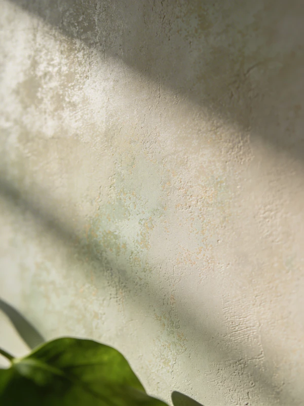Textured Wall with Leaf