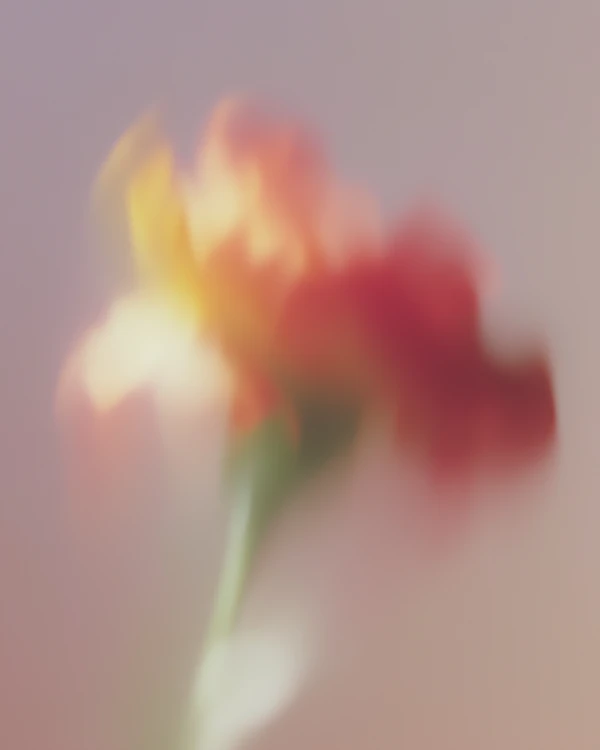 Abstract Flower Art