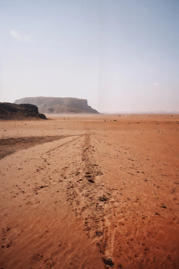 Desert Landscape Vista