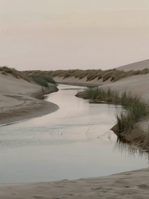Serene Sandy Landscape