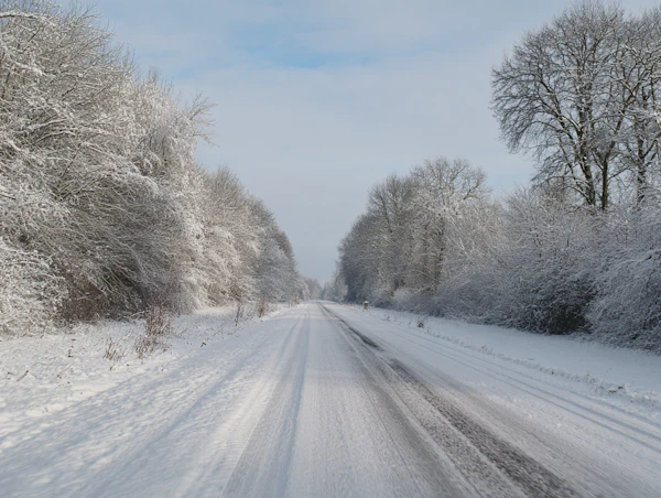 Snowy Winter Road