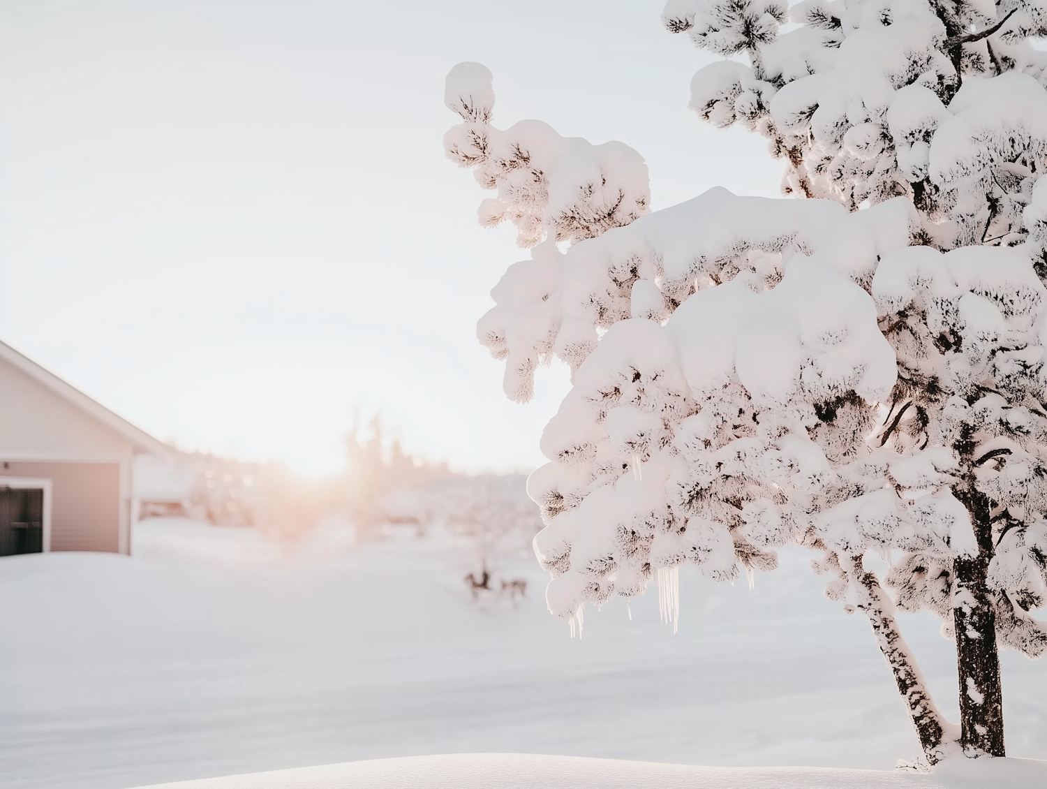 Serene Winter Scene