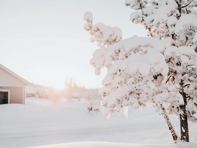 Serene Winter Scene