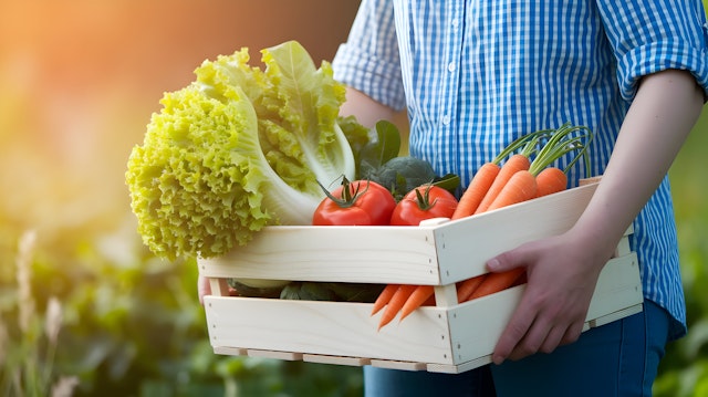 Fresh Harvest Outdoors