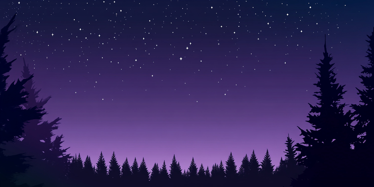 Serene Night Sky with Stars