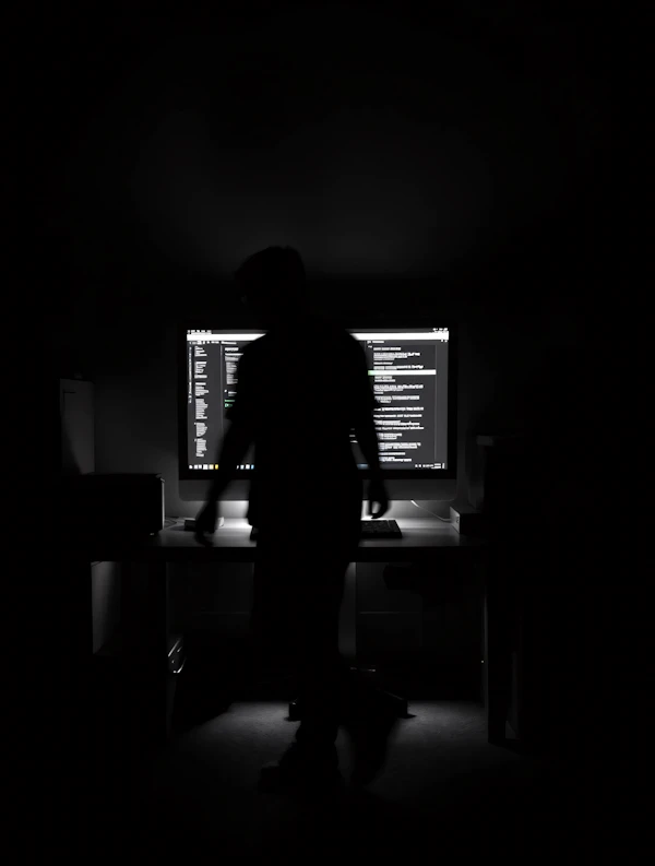 Silhouette at Computer