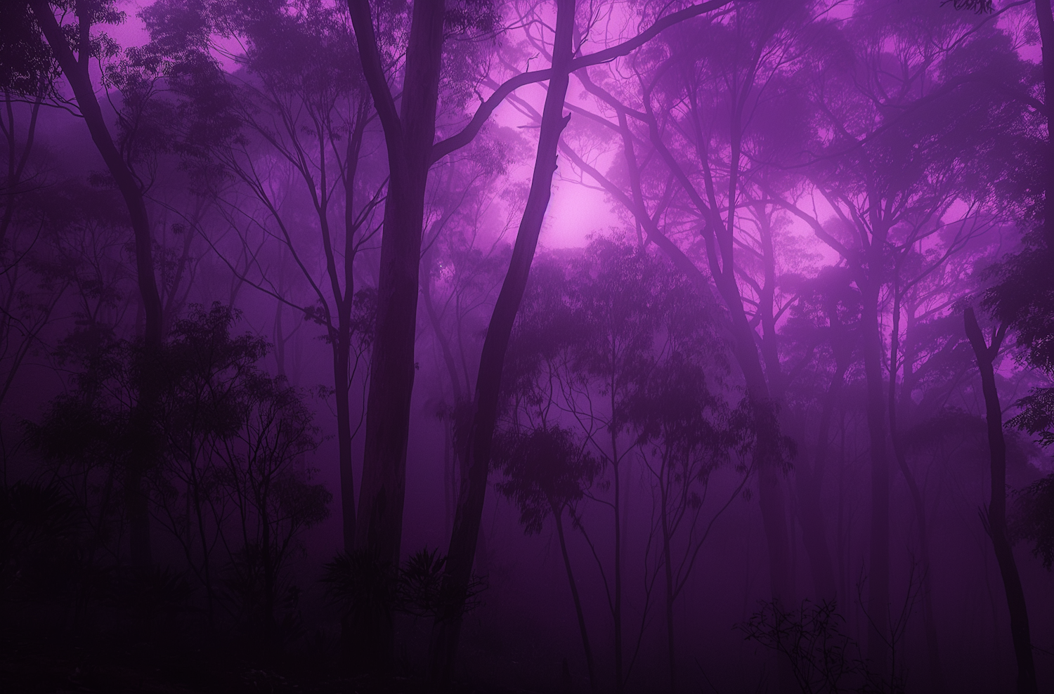 Mystical Purple Mist Forest