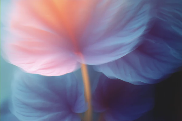 Petal Close-Up Elegance
