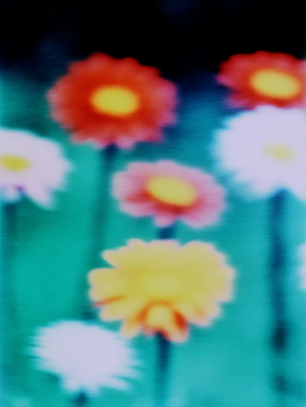 Dreamy Flower Garden