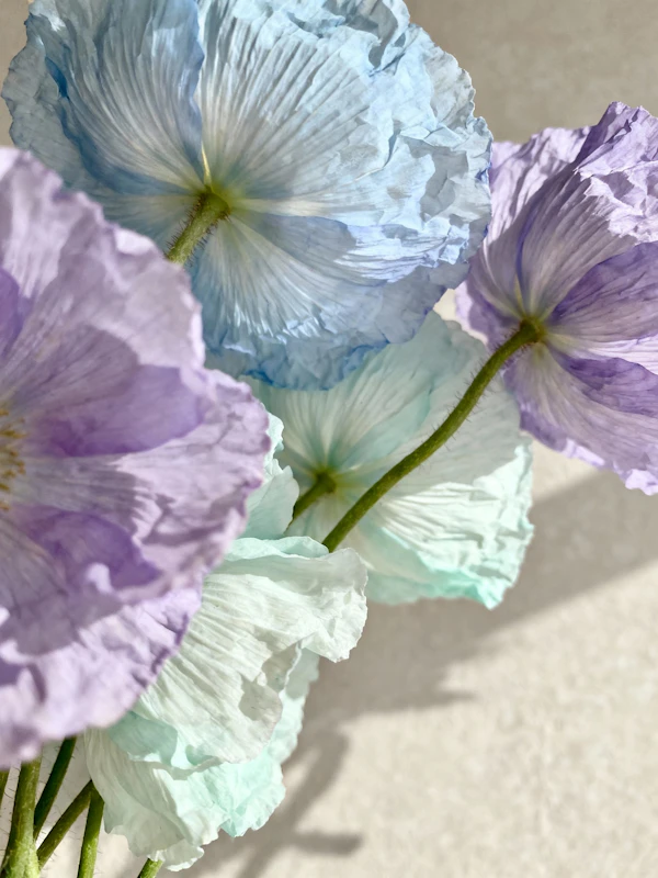 Pastel Flower Close-Up