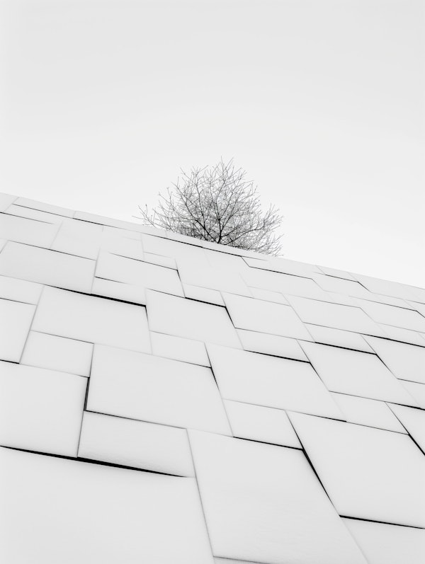 Minimalist Tree and Textured Building Wall