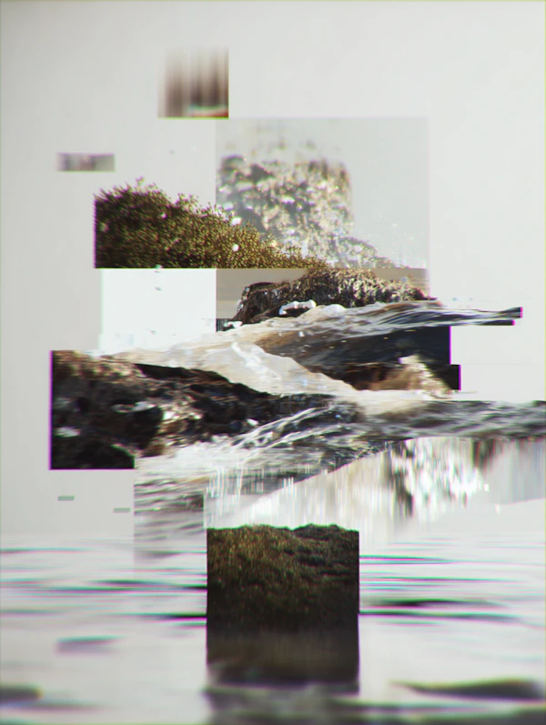 Fragmented Natural Scene