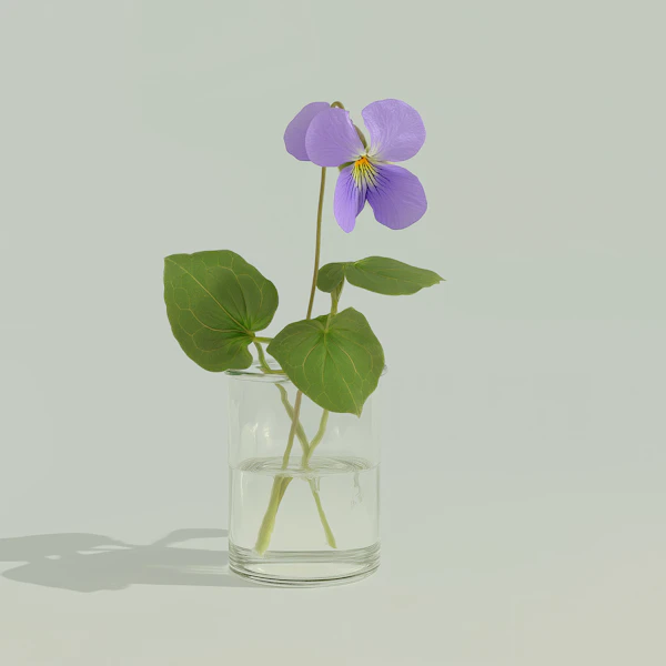 Violet Flower in Glass