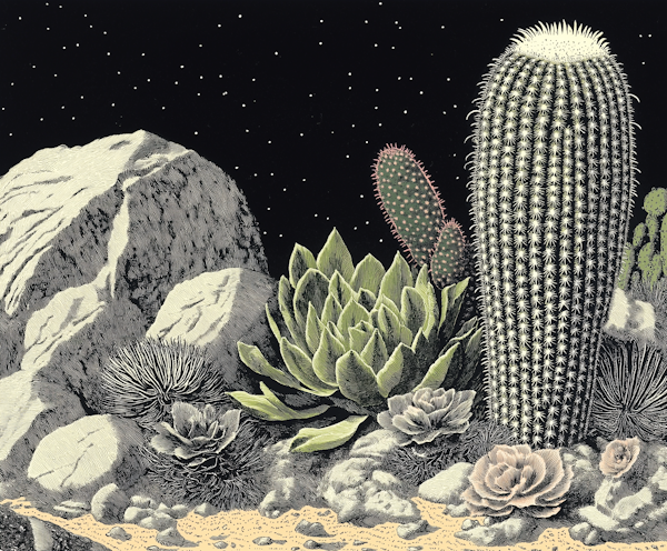 Desert Night Botanical Illustration