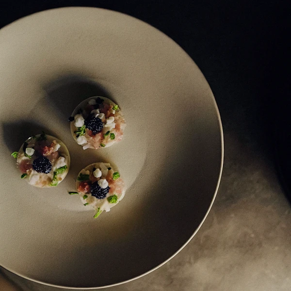 Elegant Food Plating