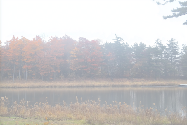 Serene Foggy Landscape