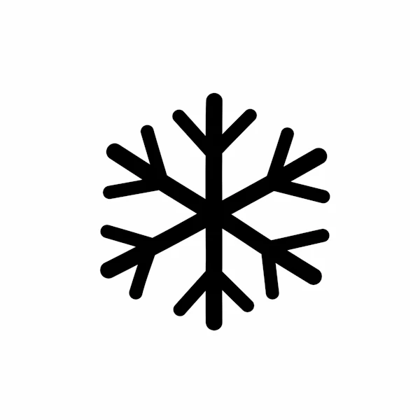 Black Snowflake Icon