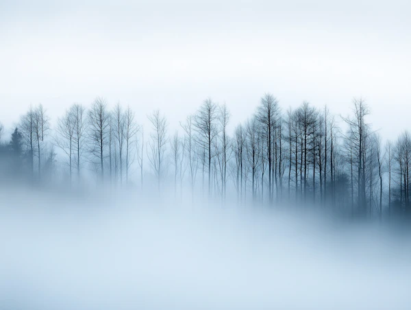 Serene Winter Landscape
