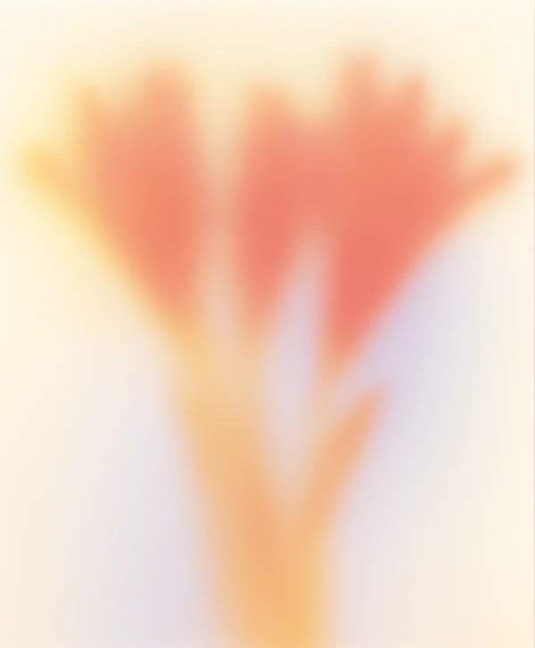 Abstract Floral Art