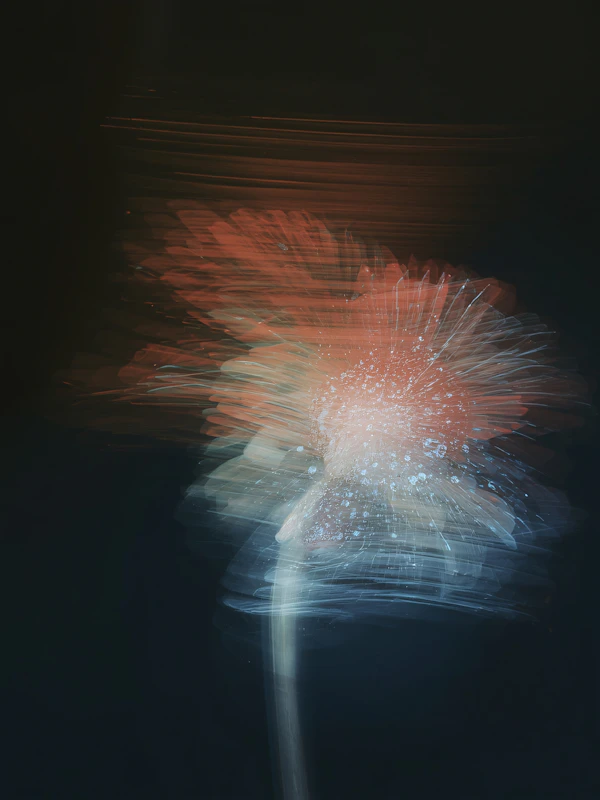 Ethereal Bloom
