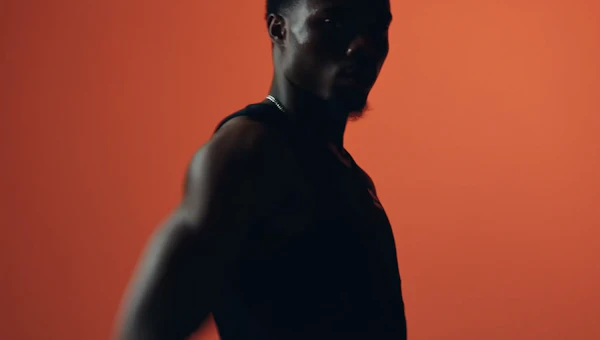 Silhouette in Orange
