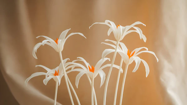Elegant White Flowers
