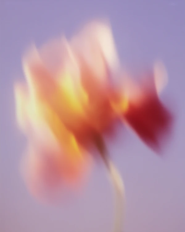 Ethereal Flower Art