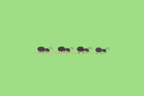 Ants on Green Path
