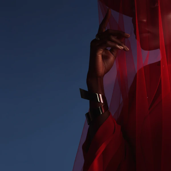Dramatic Red Veil