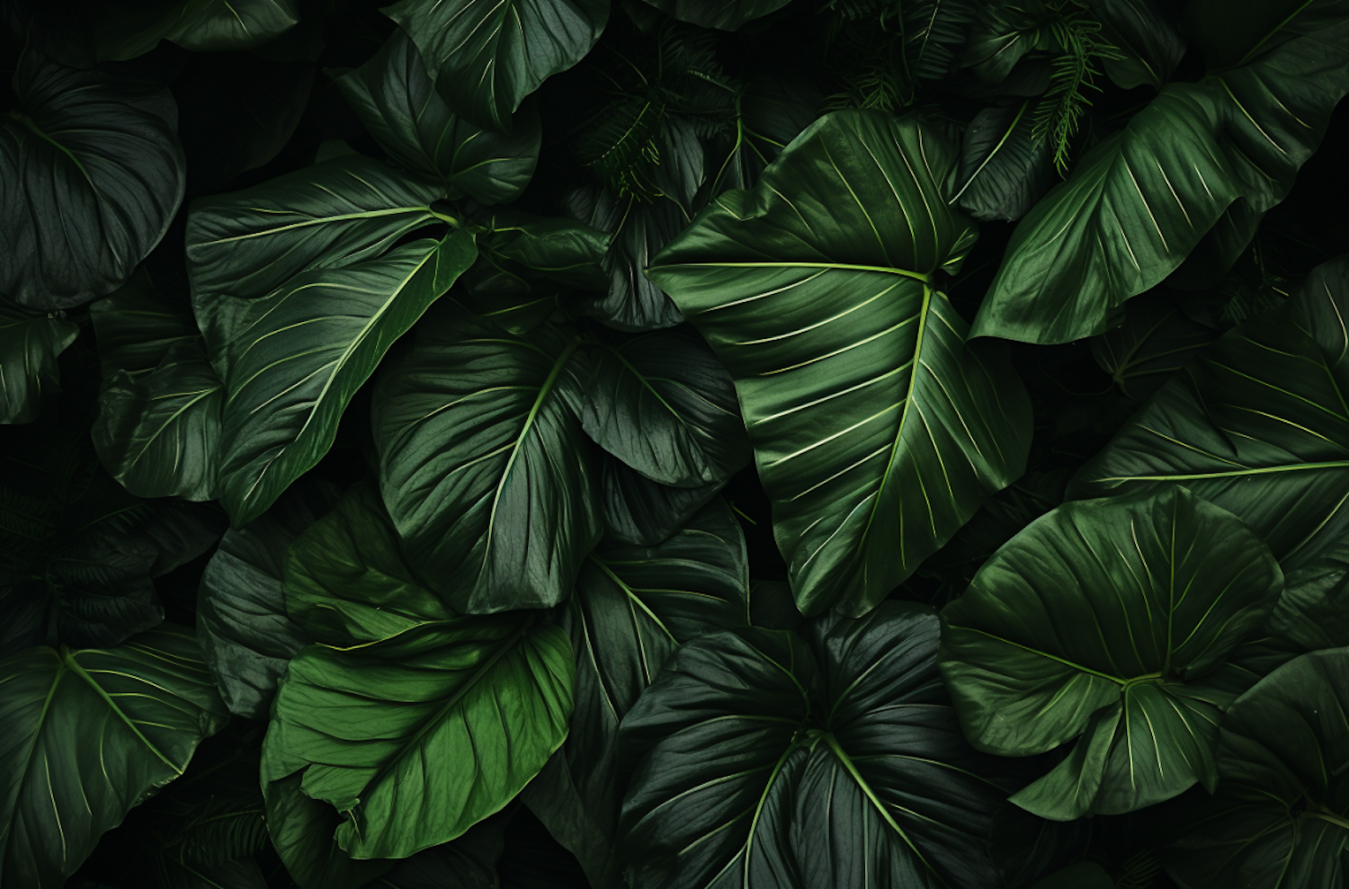 Verdant Canopy Textures