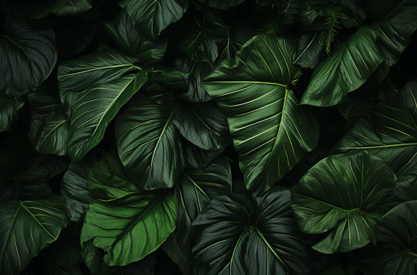 Verdant Canopy Textures
