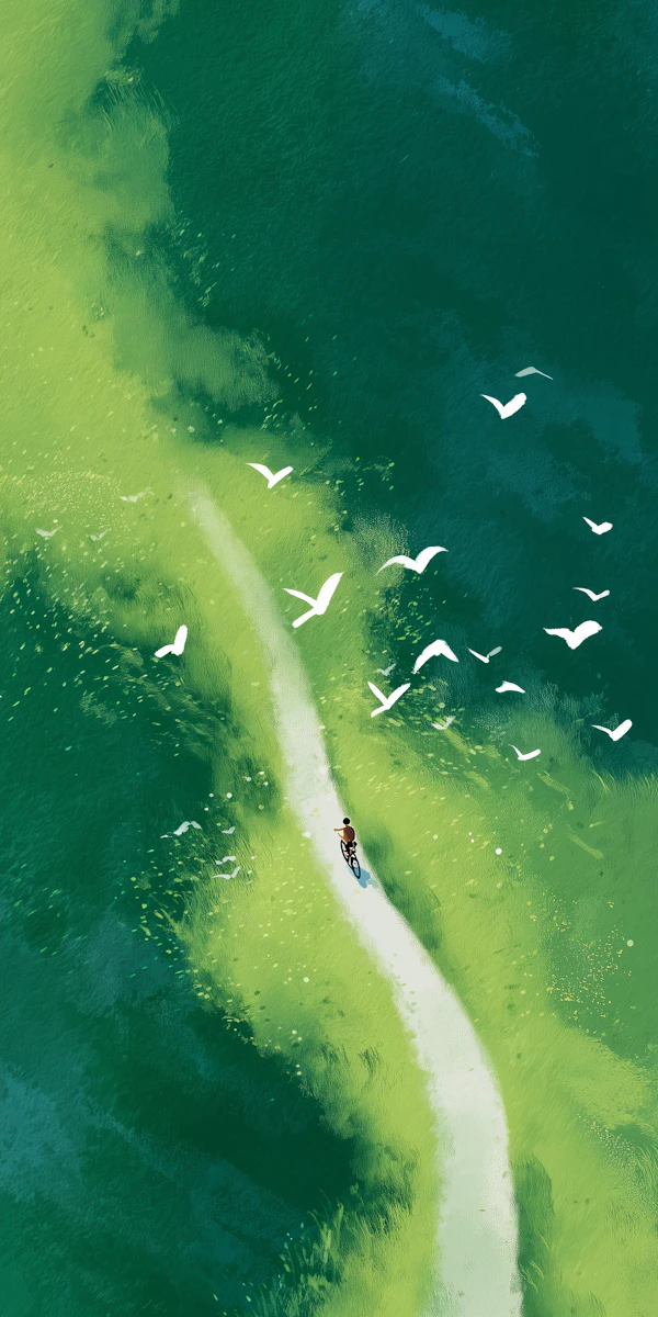 Cyclist in Green Fields