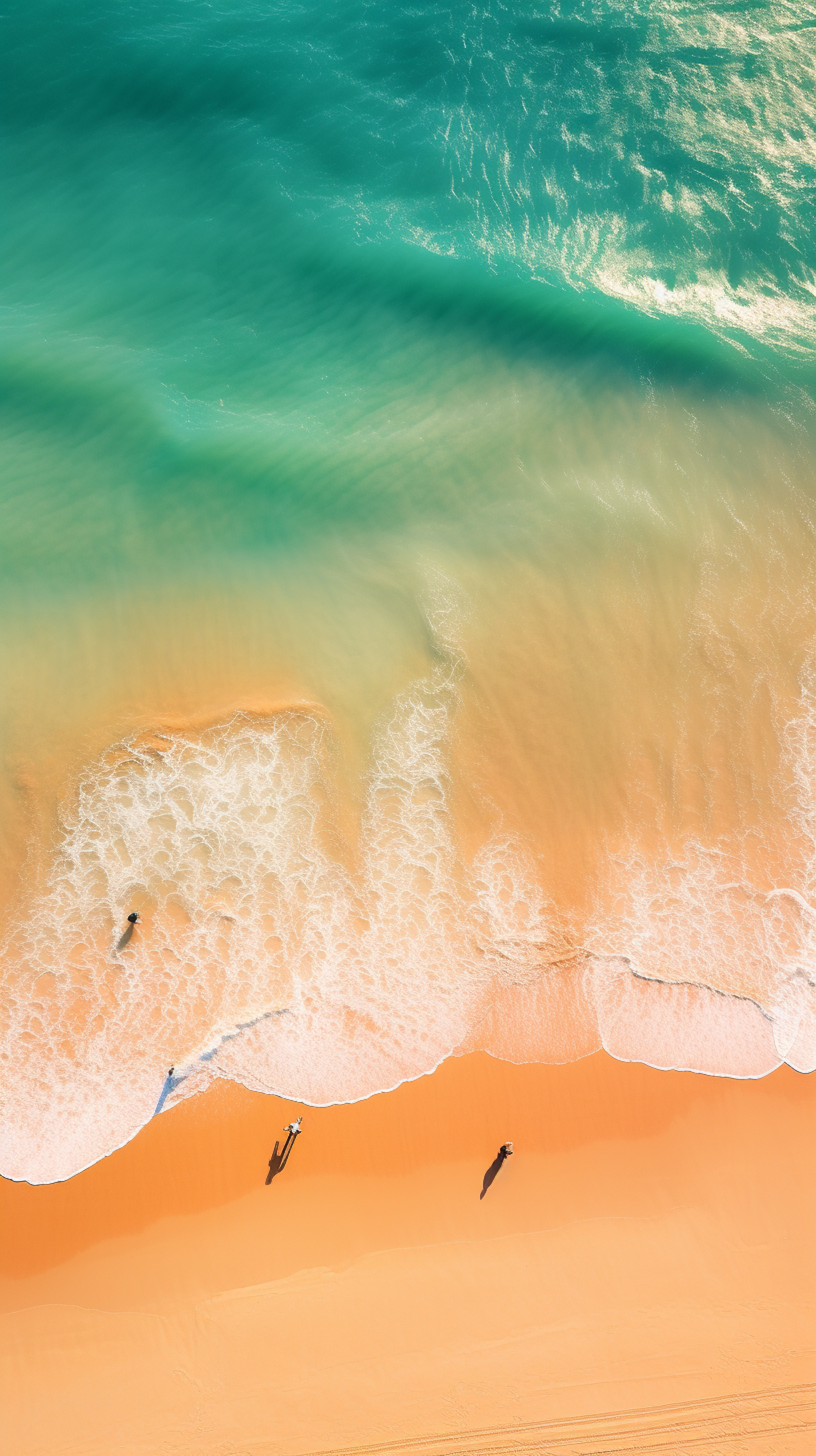 Golden Sands and Turquoise Waves: An Aerial Beach Vista