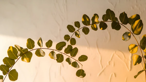 Minimalist Green Leaves