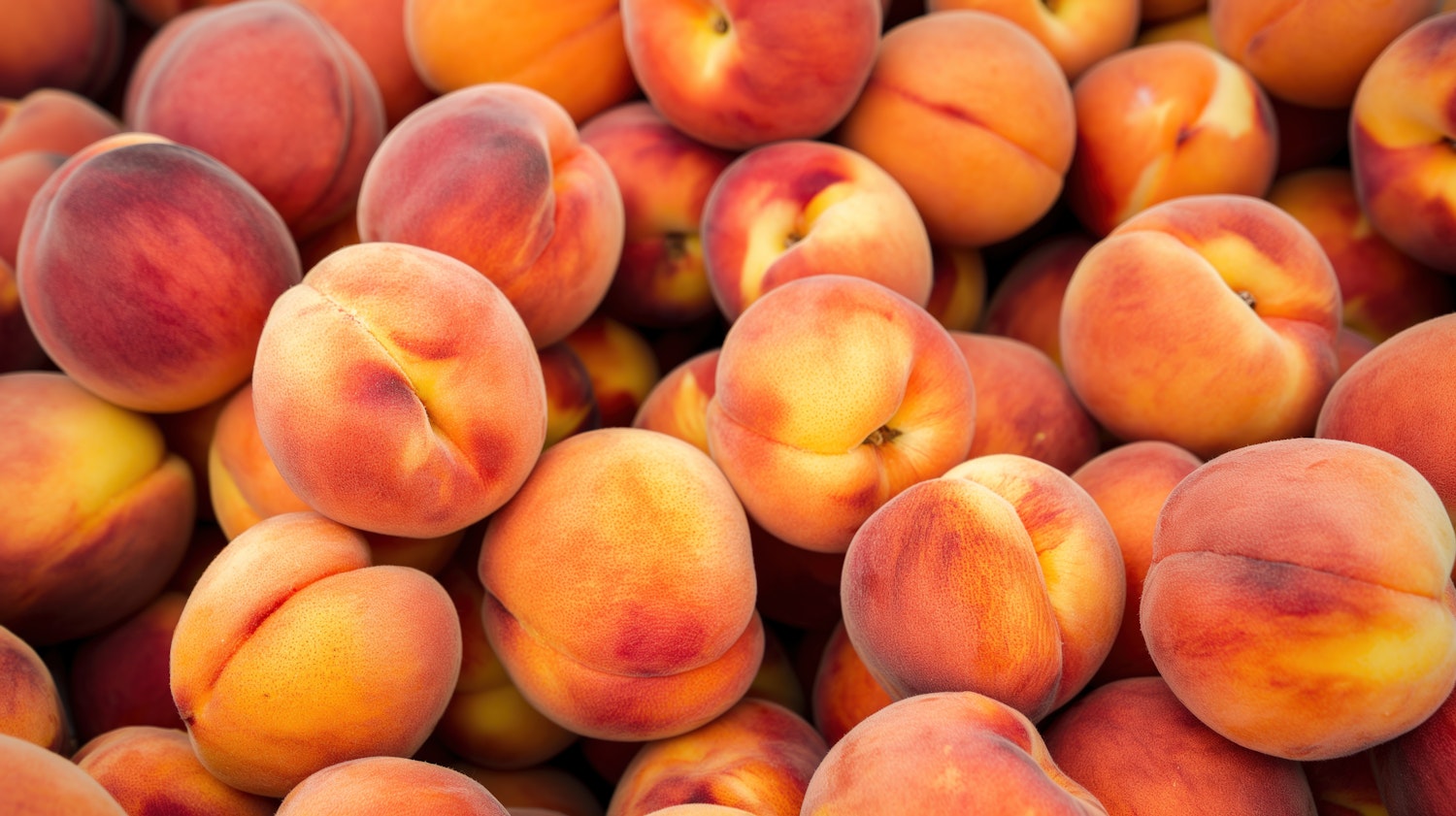 Abundant Fresh Peaches