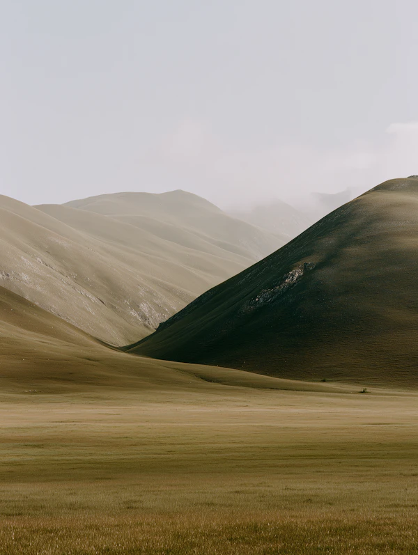 Serene Rolling Hills