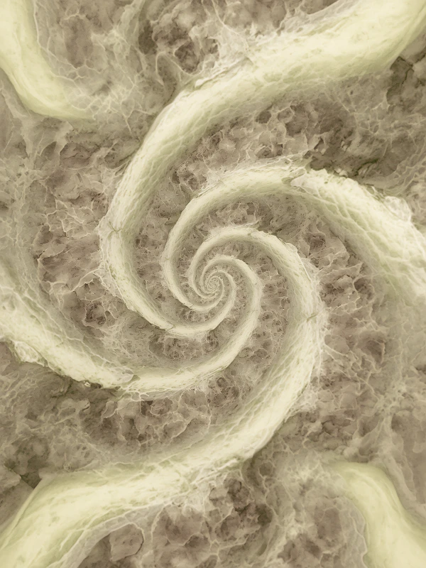 Organic Spiral Design
