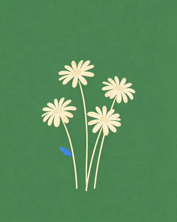 Minimalist Daisy Art