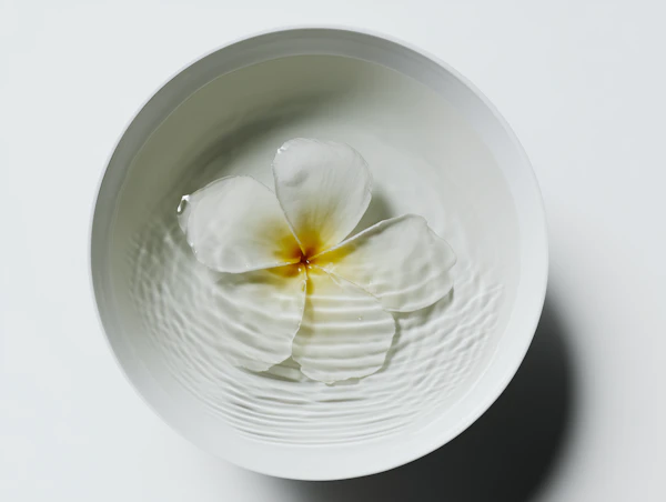 Floating White Flower