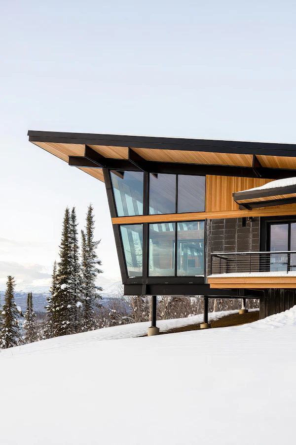 Modern Snowy House