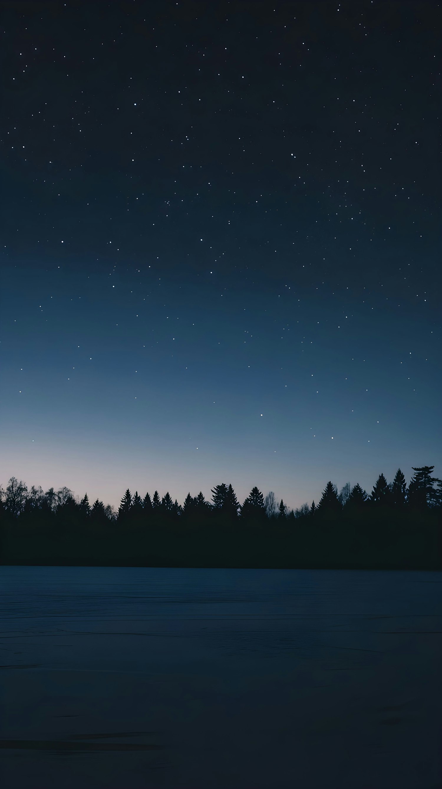 Serene Night Sky Over Forest