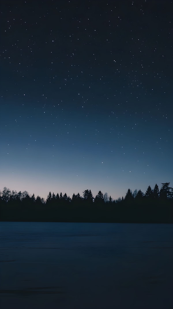 Serene Night Sky Over Forest