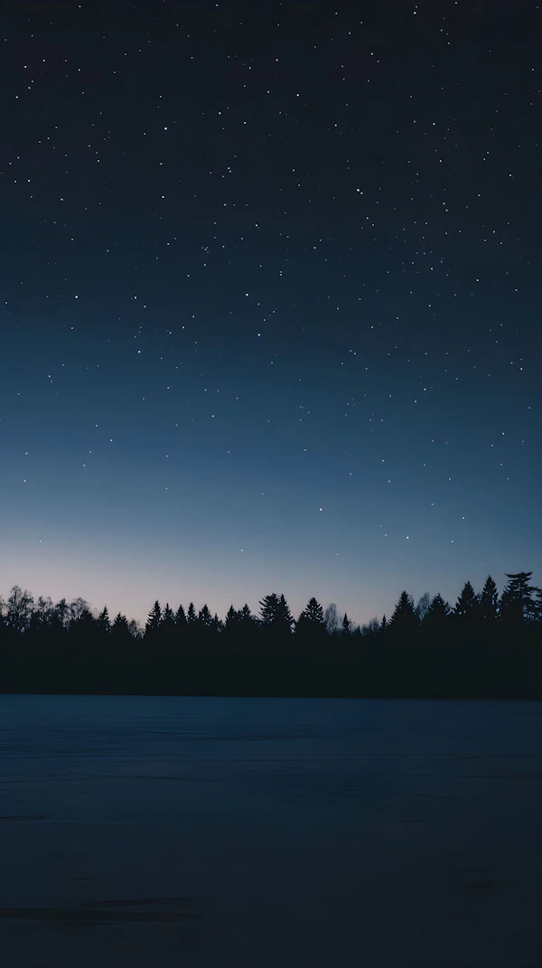 Serene Night Sky Over Forest