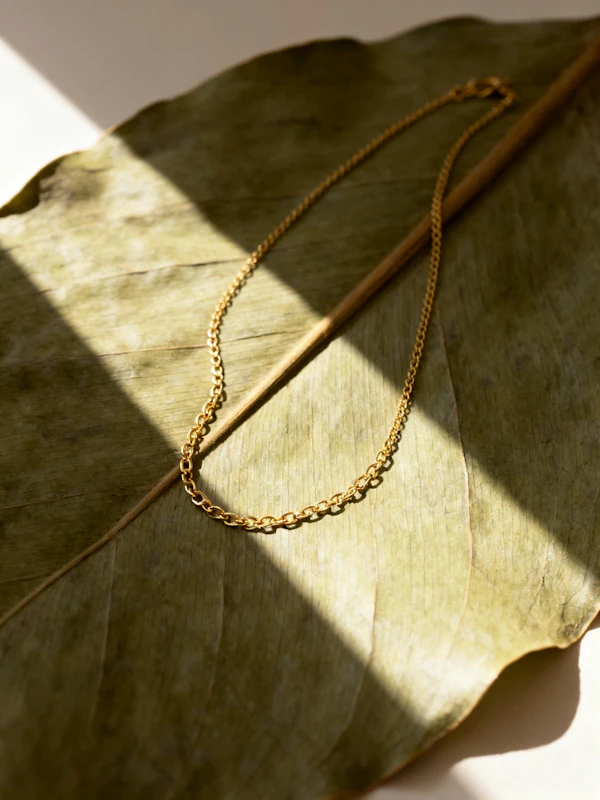 Gold Necklace on Leaf