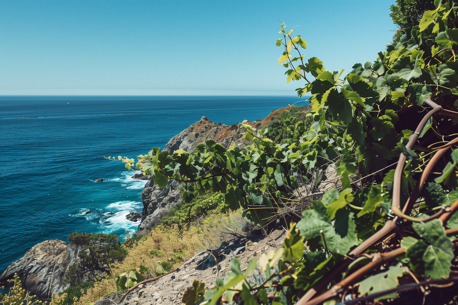 Serene Coastal Landscape with Cliffside Foliage