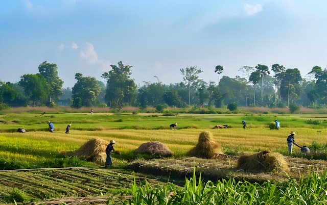 Rural Landscape with Agricultural Workers