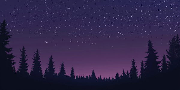 Serene Night Sky with Pine Trees